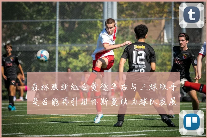 森林狼新组合爱德华兹与三球联手是否能再引进怀斯曼助力球队发展