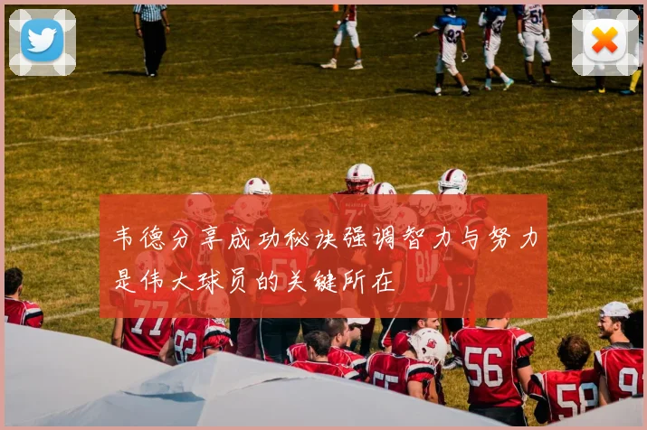 韦德分享成功秘诀强调智力与努力是伟大球员的关键所在
